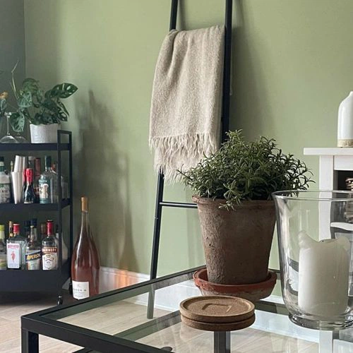 Фото цвета Dulux 90YY 35/169 Celtic Forest 2 Фото цвета Dulux 90YY 35/169 Celtic Forest 2