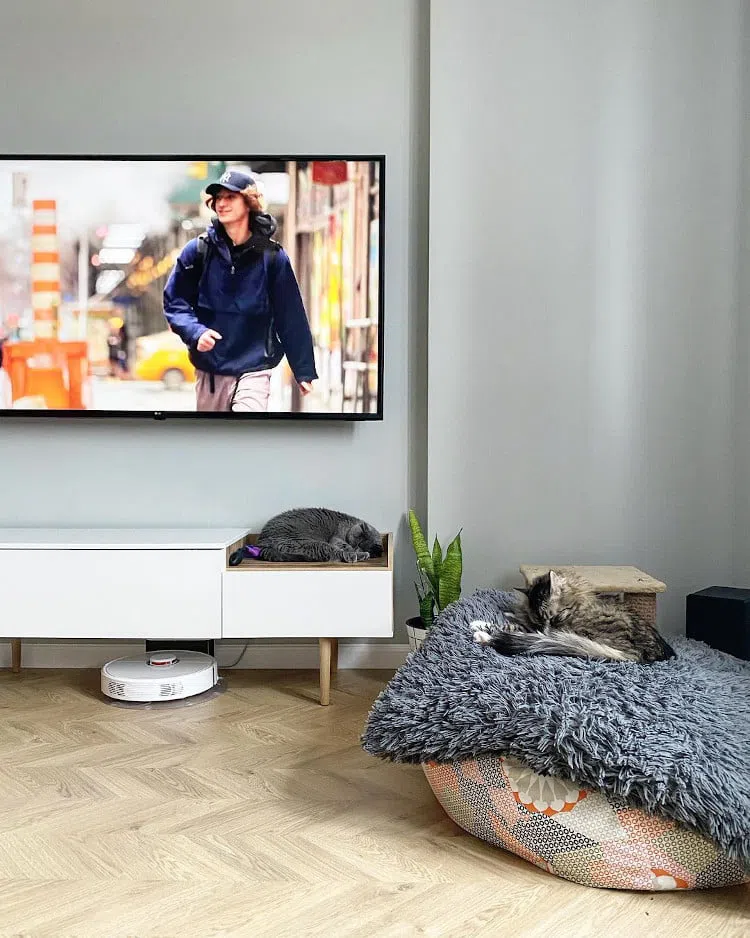 ТВ зона в гостиной с серыми стенами Tikkurila 1923