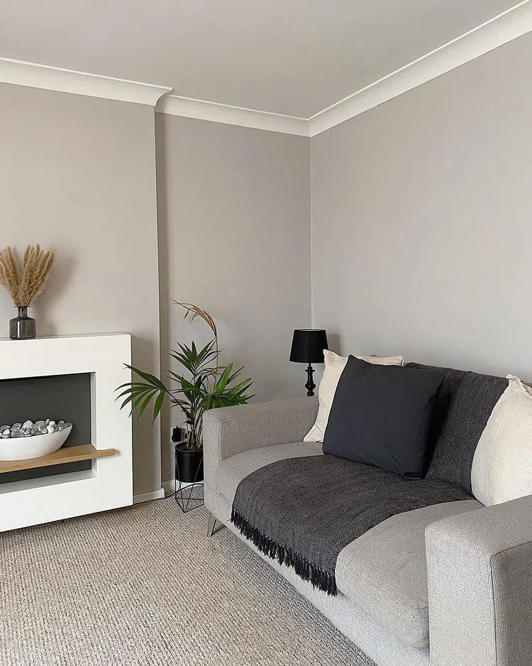 Интерьер с серыми стенами Ammonite