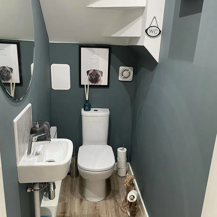 Пример туалета с темными стенами Farrow and Ball De Nimes