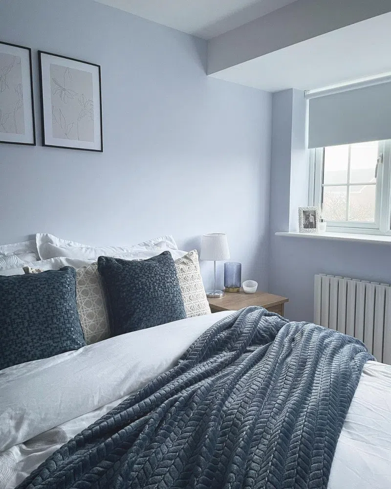 Фото интерьера с голубыми стенами Blueberry White