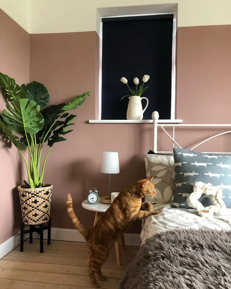 Бохо интерьер со стенами color-block