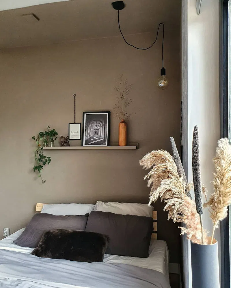 Спальная в стиле color-block со стенами 10YY 30/106 Плодородная почва