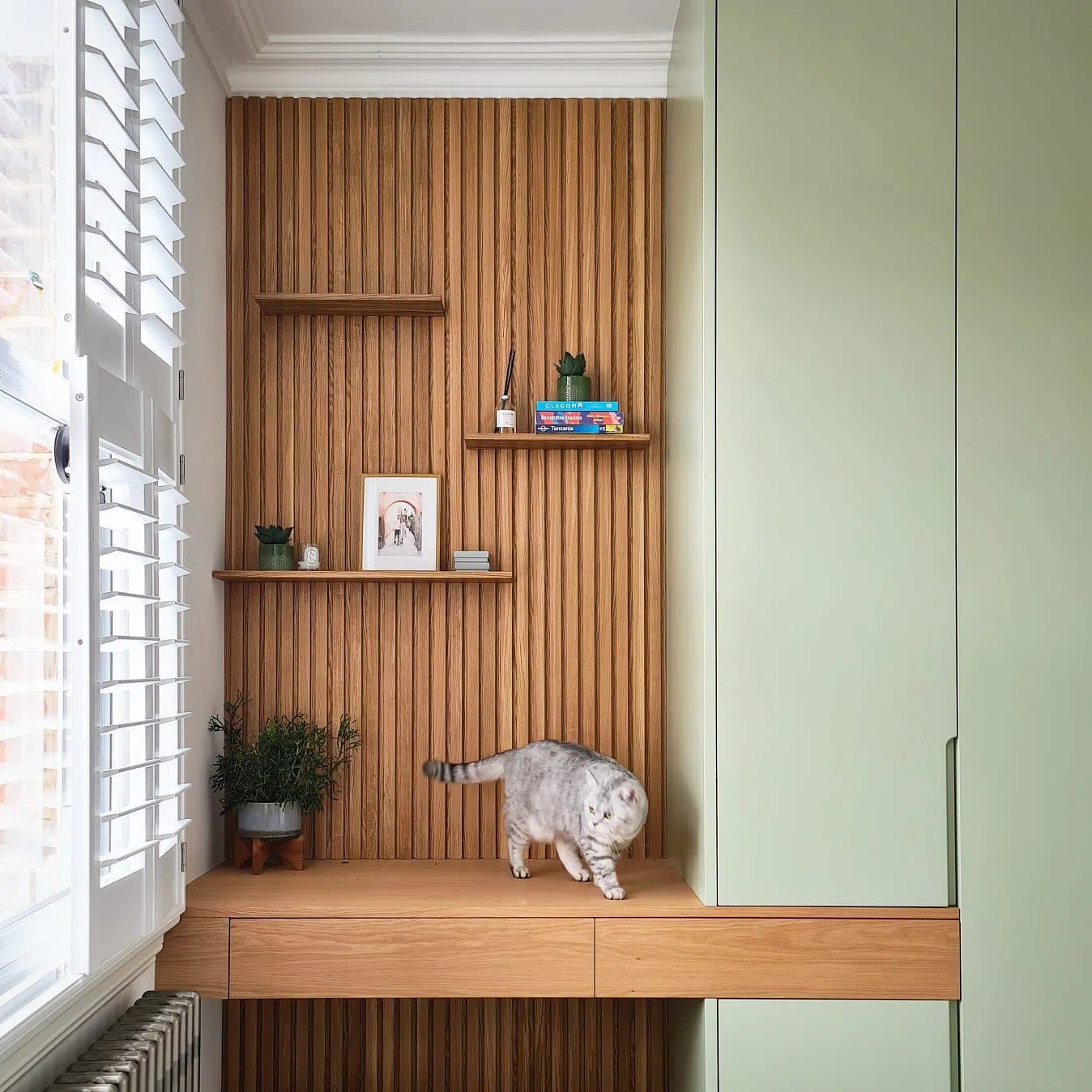 Фисташковые стена с деревянными рейками и цветом Farrow and Ball Vert de Terre