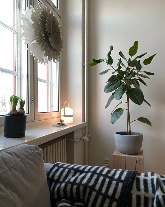 Современный интерьер с светлыми стенами G485 Tikkurila