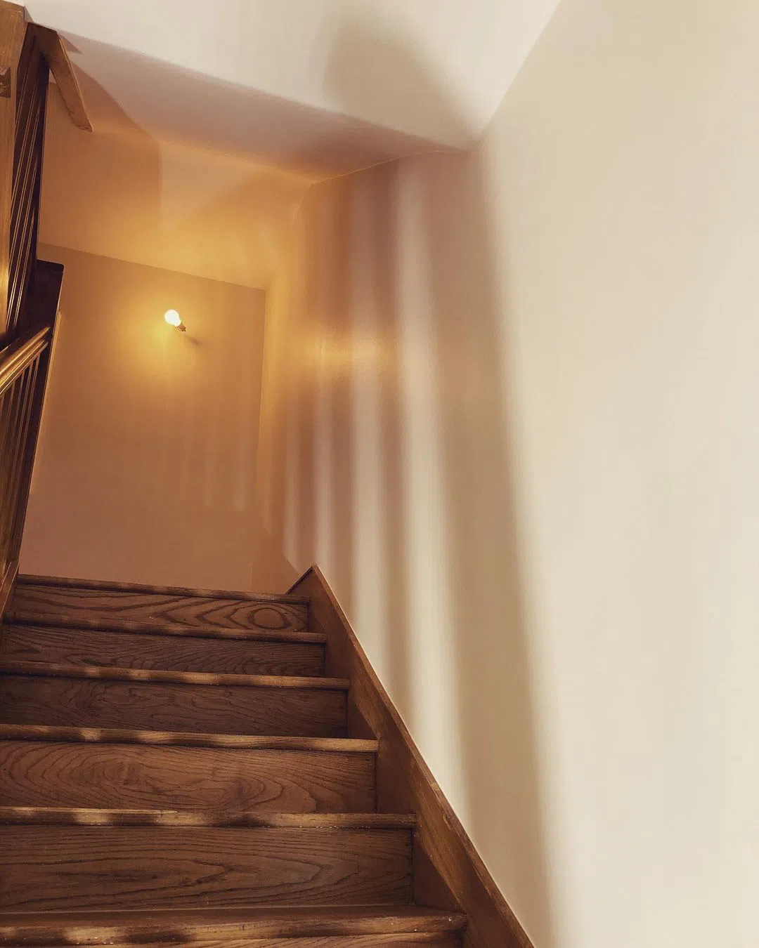 Little Greene Clay Pale