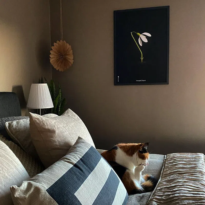 Уютная спальная с цветом стен Плодородная почва от Dulux