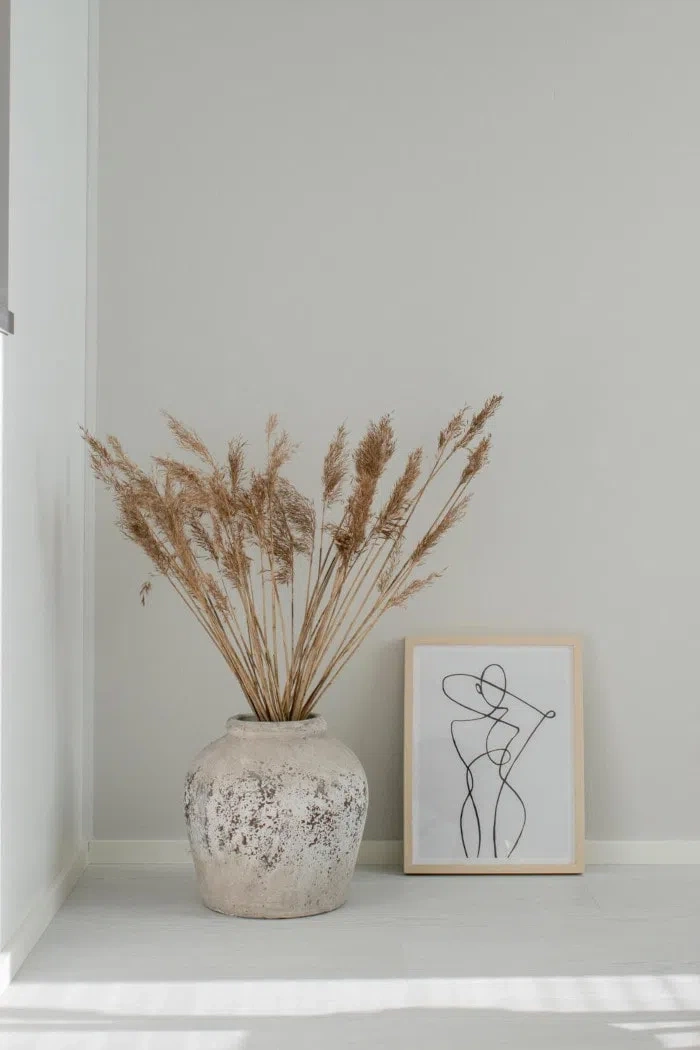 Светло-бежевая стена с сухоцветами G486 Tikkurila