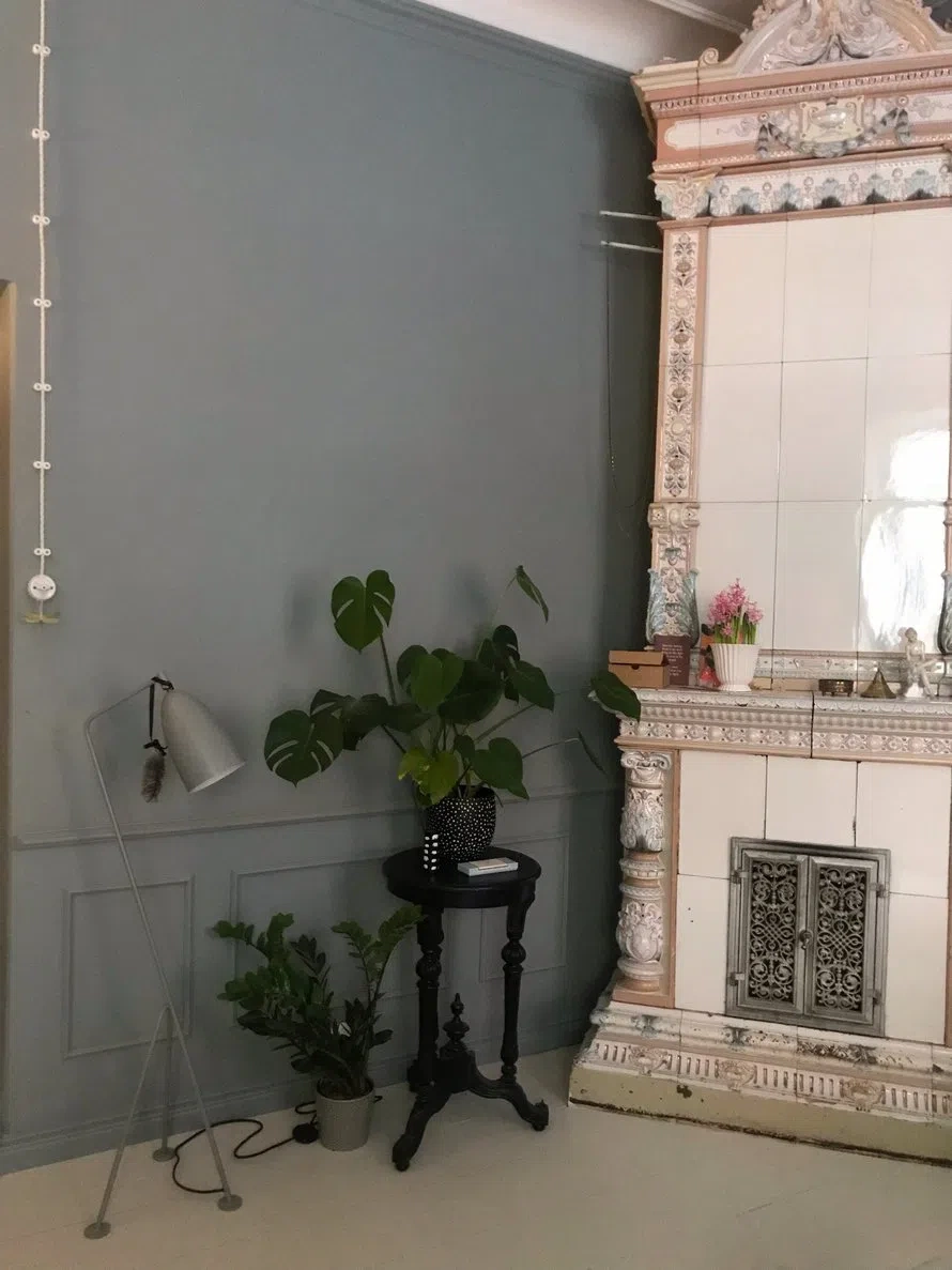 Интерьер с винтажной печью и цветом L493