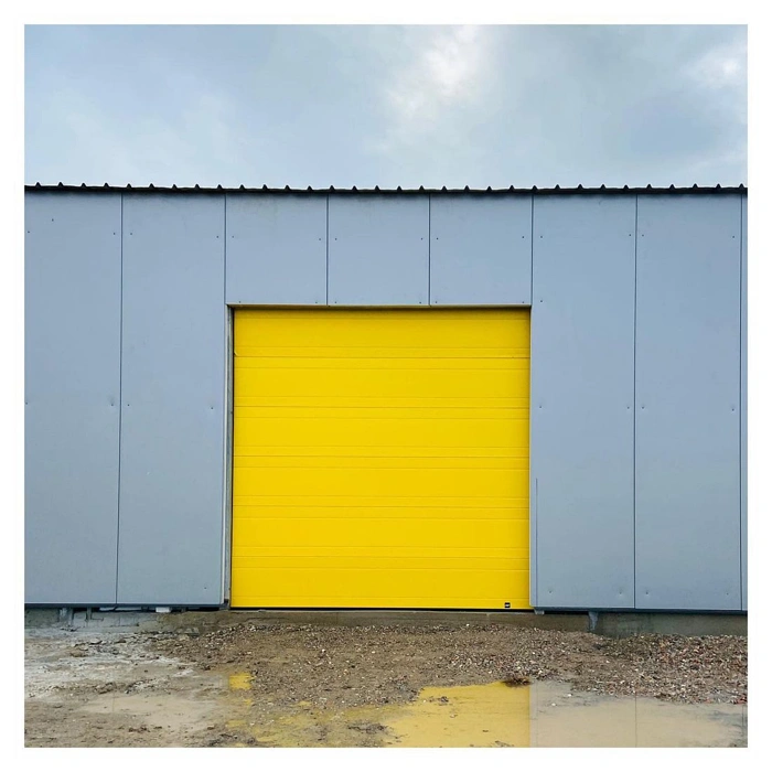 RAL 1021 на воротах