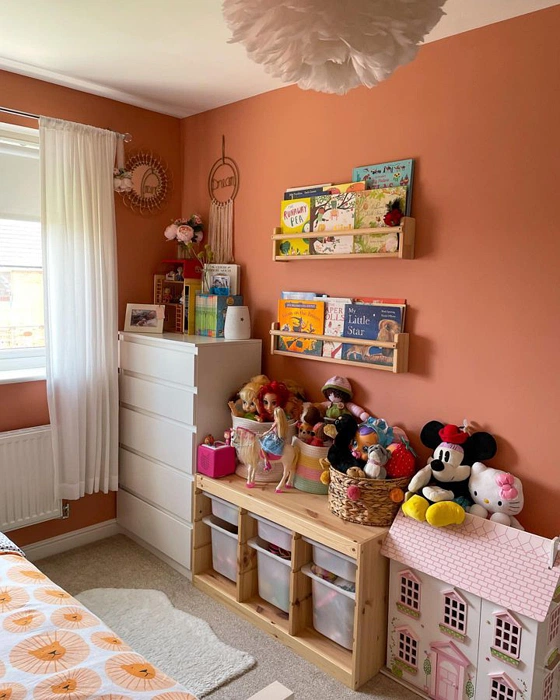 Dulux Copper Blush 50YR 36/263 детская с красной стеной