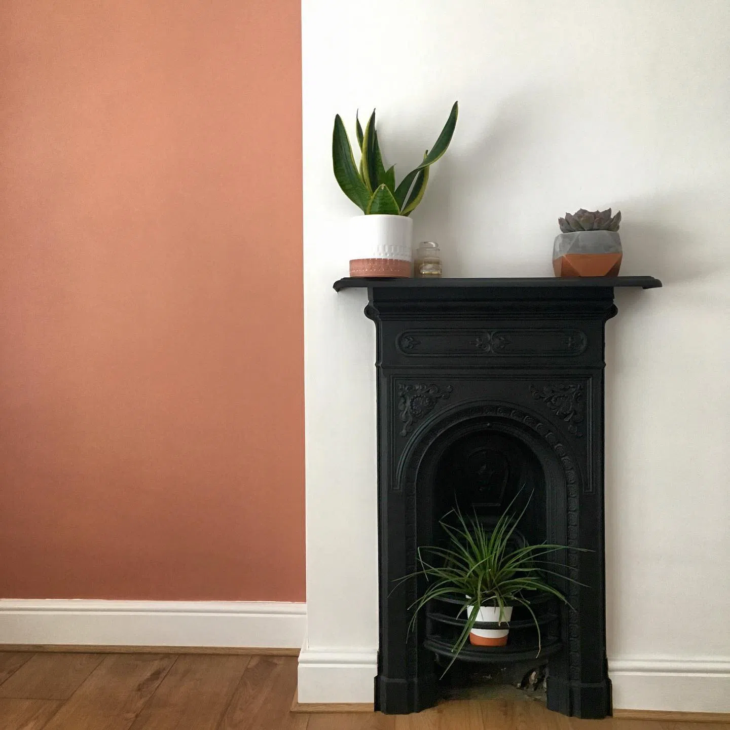 Акцентная персиковая стена Dulux 50YR 36/263