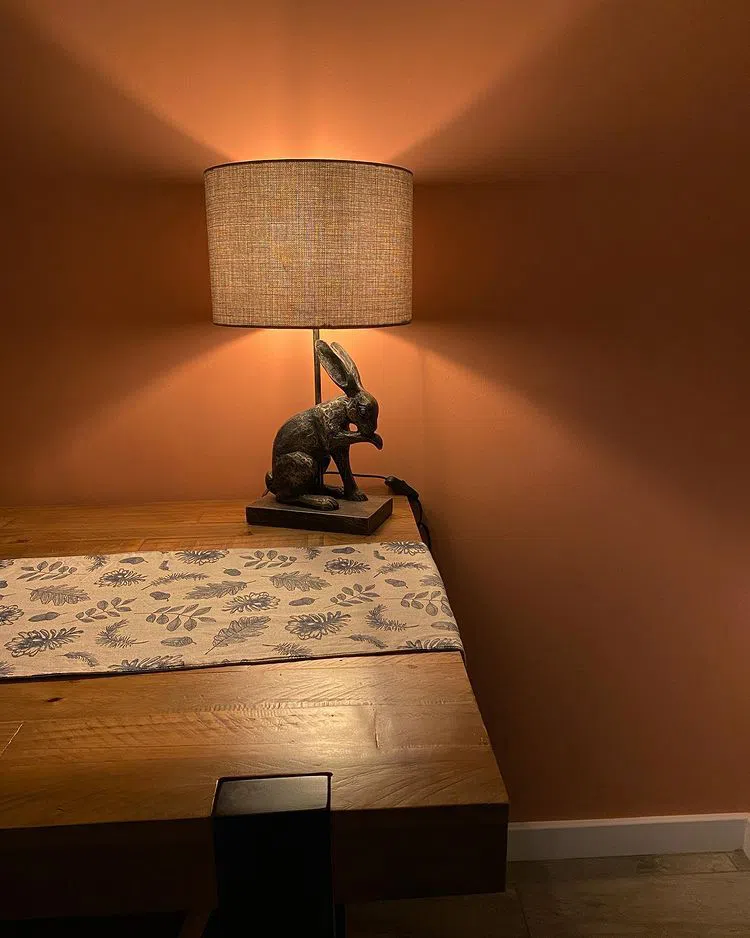 Медные персиковые стены Dulux 50YR 36/263