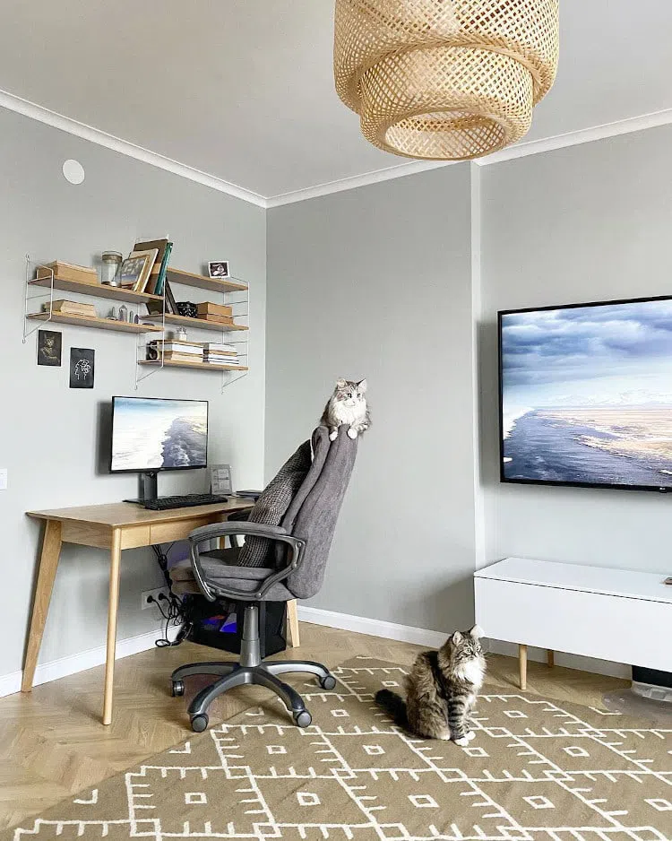 Интерьер квартиры с серыми стенами Tikkurila Deco Grey 1923