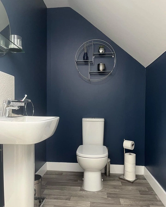 Синий Dulux Breton Blue 30BB 10/112 в туалете