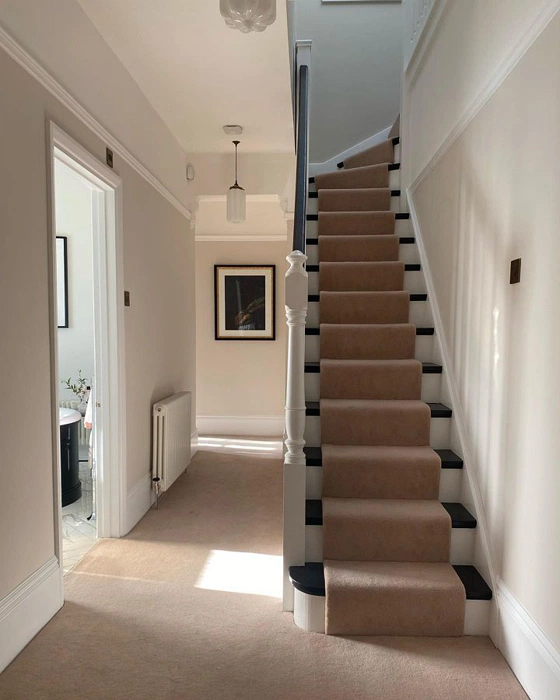 Dulux Labrador Sands 6 бежевый цвет краски