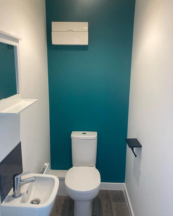 Dulux Proud Peacock акцентная стена в туалете