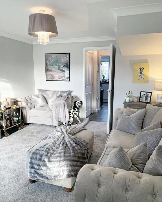 Dulux 30YY 72/018 Pelican в гостиной