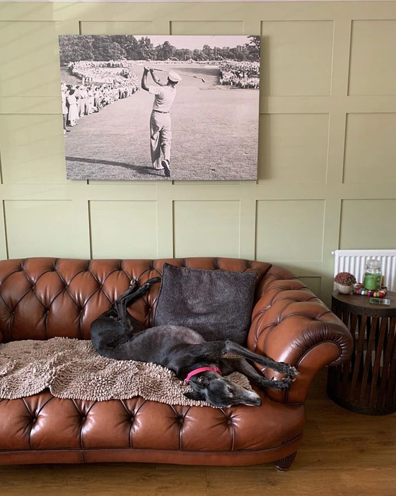 Цвет Dulux Thyme 70YY 46/160 в гостиной