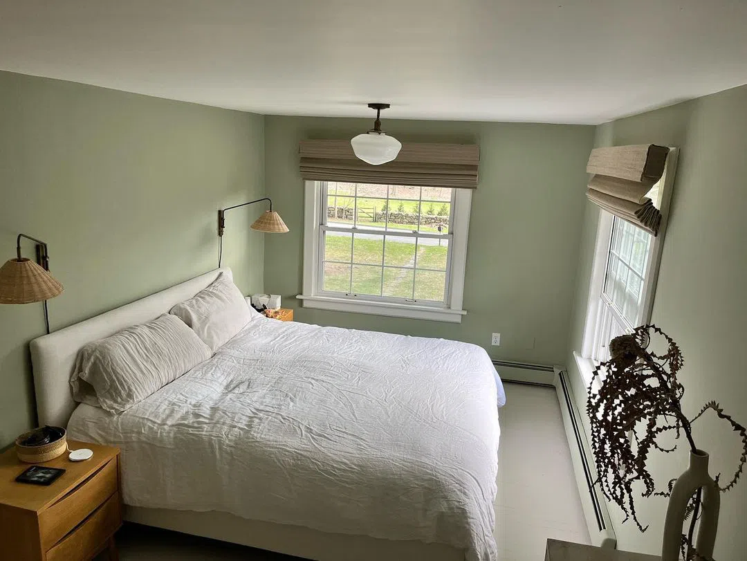 Farrow and Ball Vert de Terre 234 в интерьере