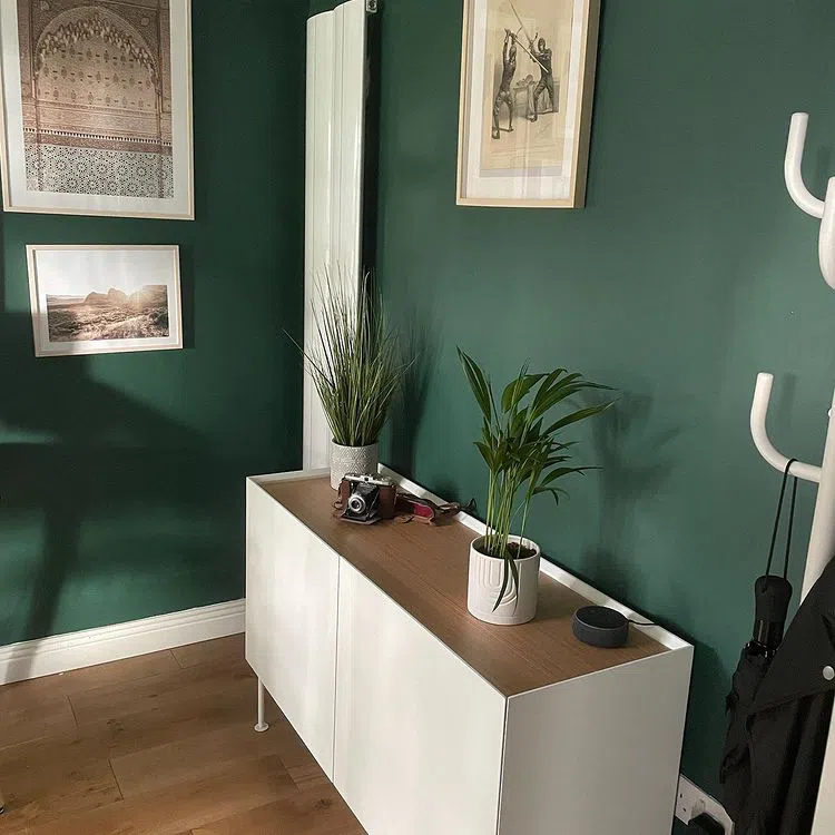 Интерьер с зелеными стенами Тиккурила Фьорд