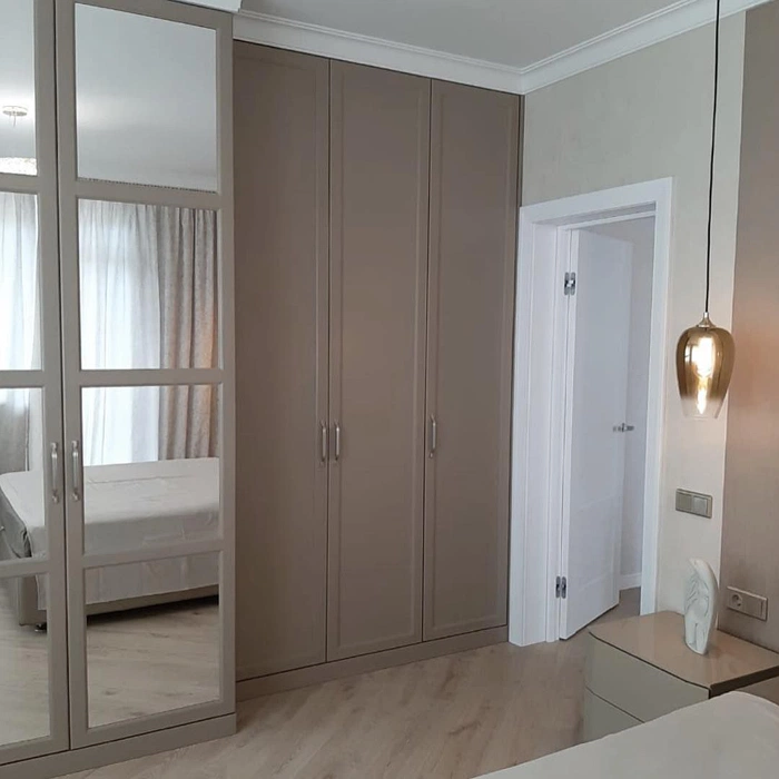 RAL 1019 встроенный шкаф