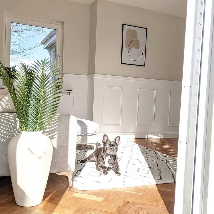 Интерьеры с краской Little Greene Joanna 130