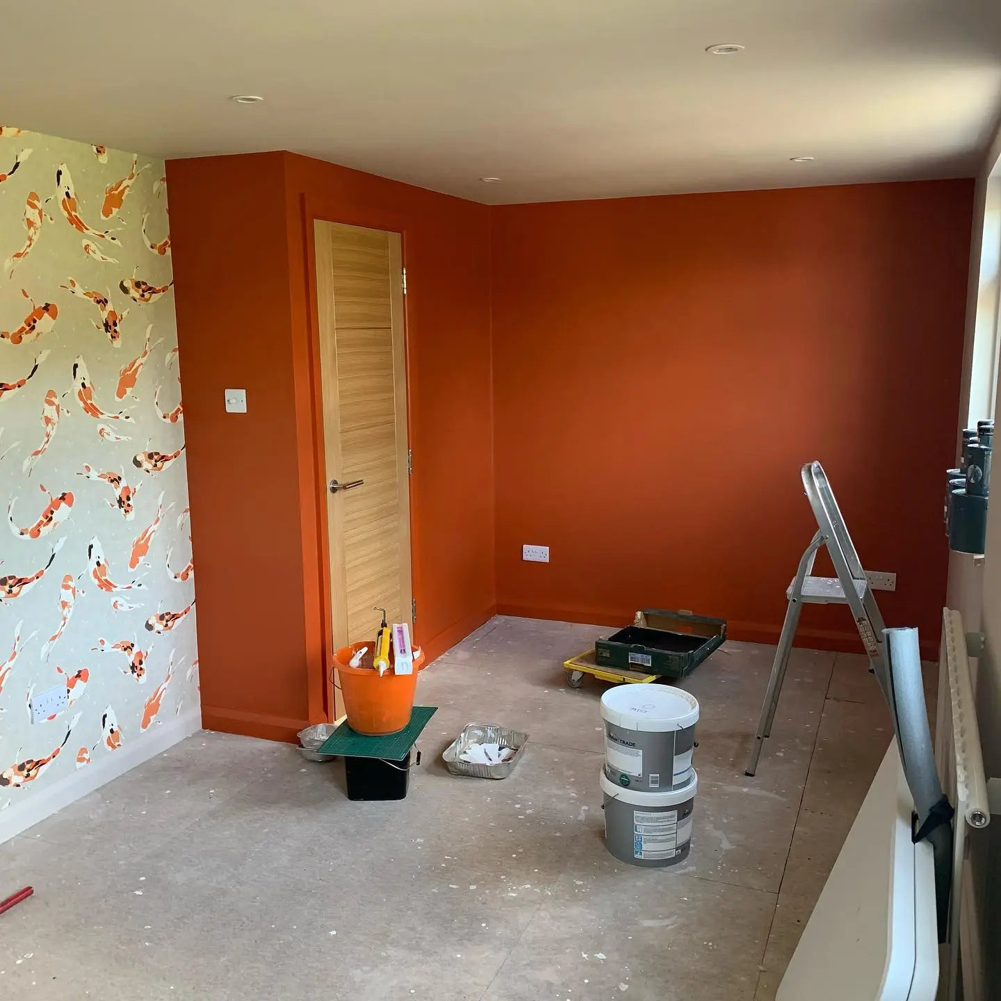 Красные стены  Little Green Heat 24 с обоями с рыбками