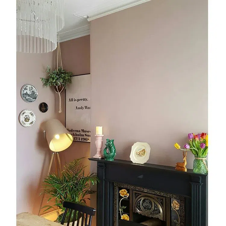 Интерьер с приглушенными розовыми стенами Peachblossom