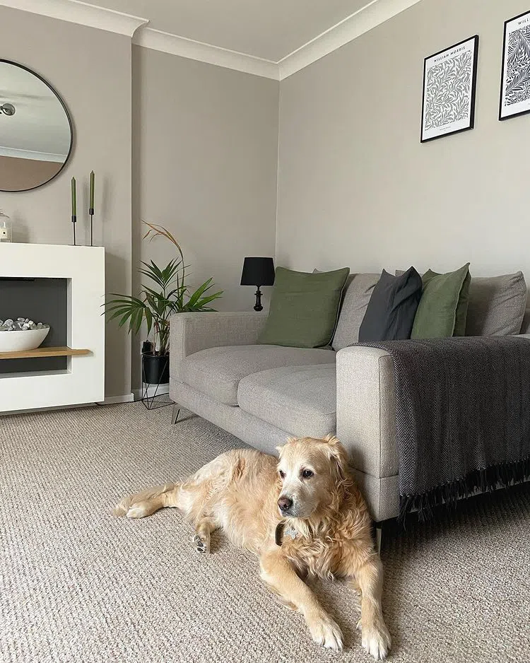 Гостиная с серым цветом Cornforth White 228