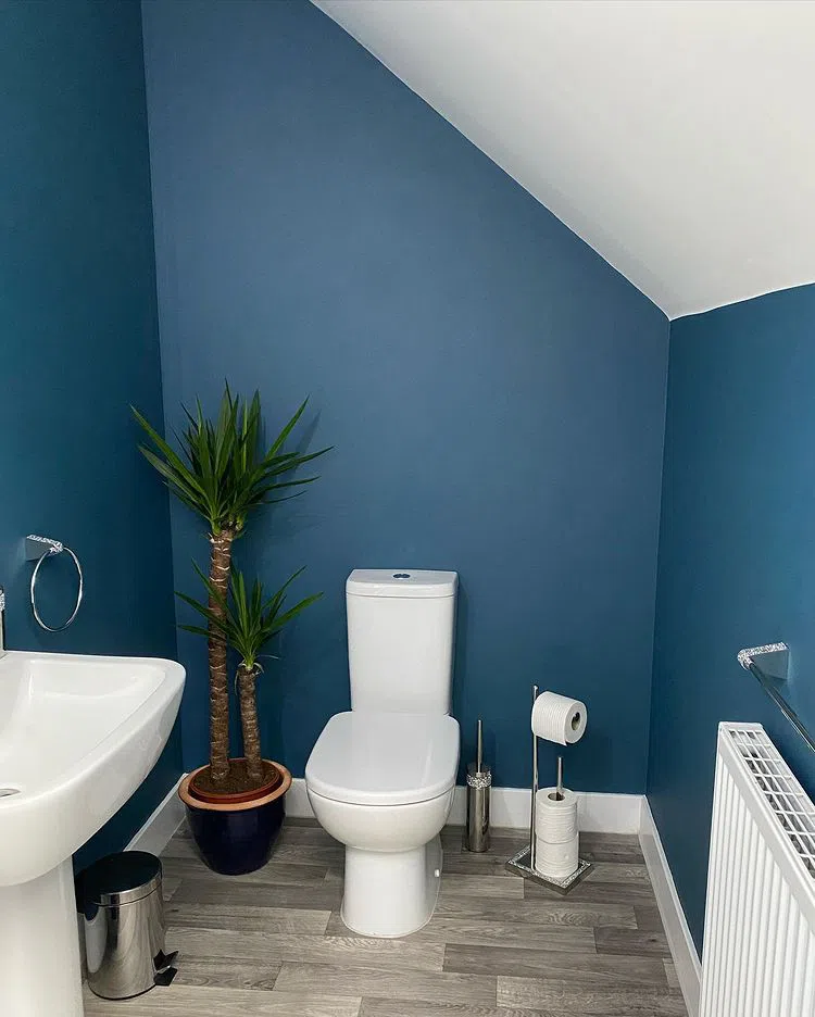 Санузел с темно-синими стенами Dulux Midnight Teal