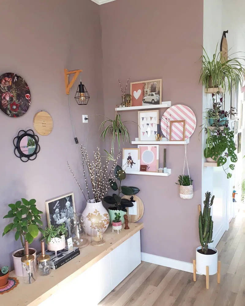 Обильный декор горшечными растениями с розовой стеной