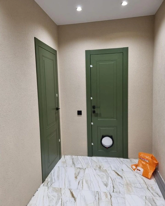 RAL 6003 зелёная дверь Profil Doors