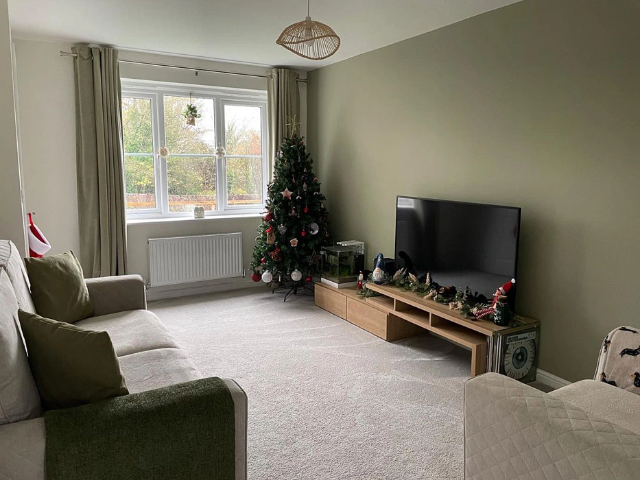 Dulux Overtly Olive 70YY 43/113 акцентная стена