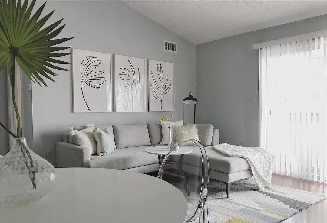 Sherwin Williams SW 7064 Passive в интерьере фото