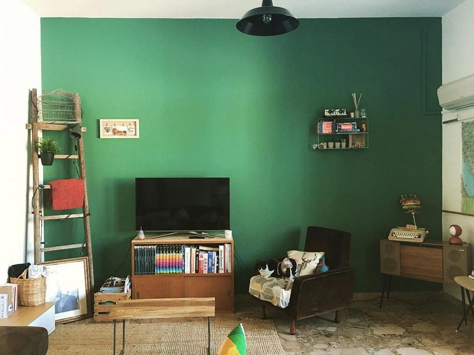 RAL 6000 на акцентной стене