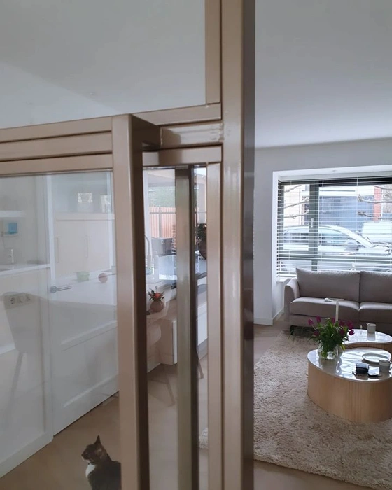 RAL 1035 рама перегородки