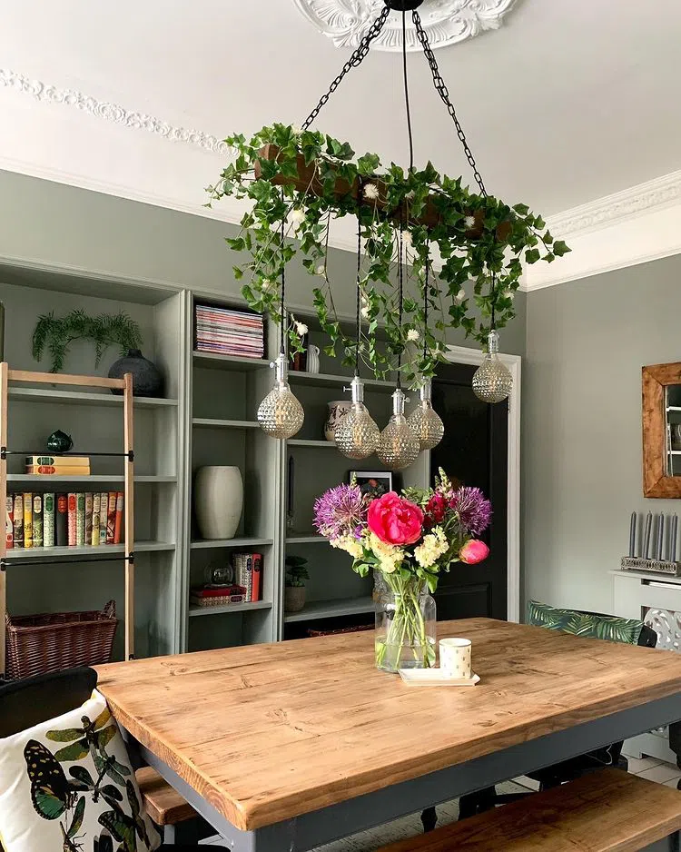 Интерьер с подвесными кашпо над столом и цветом Pigeon