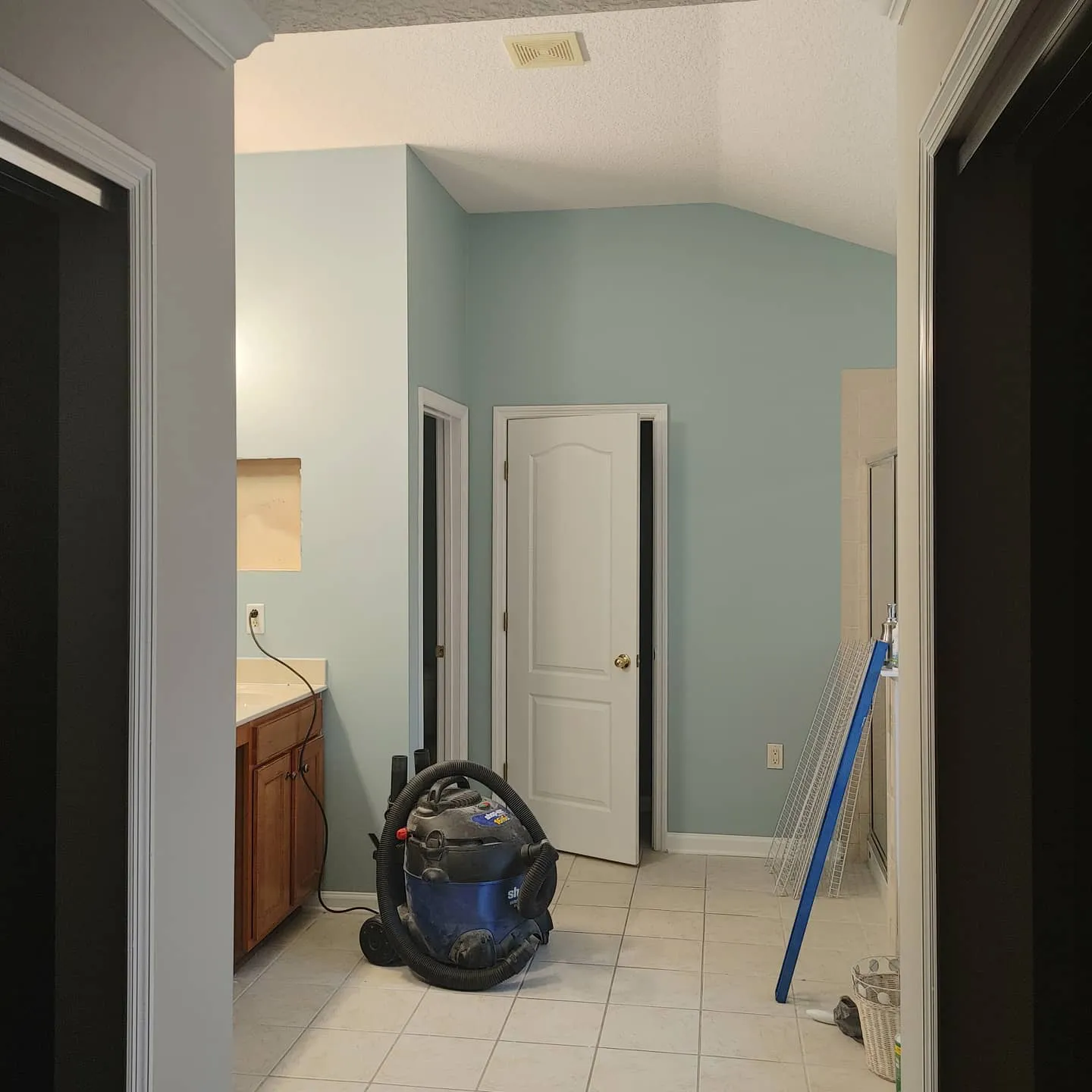 Sherwin Williams SW 6219 Rain в интерьере фото