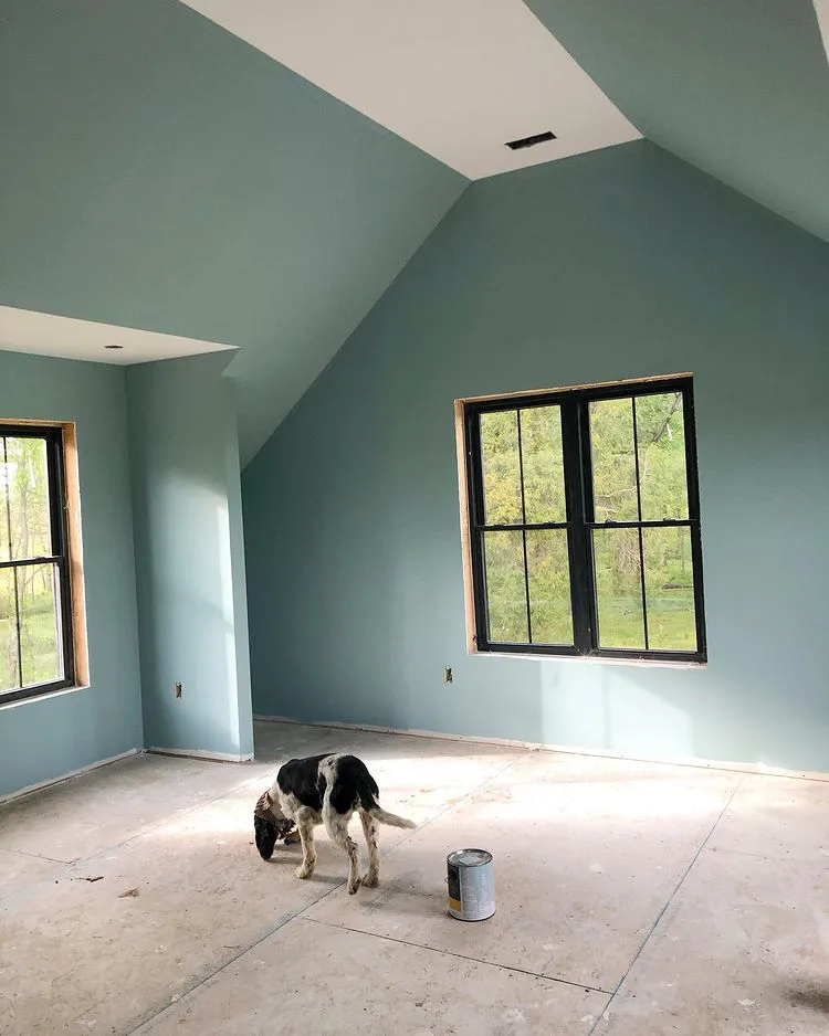 Sherwin Williams SW 6219 Rain в интерьере фото