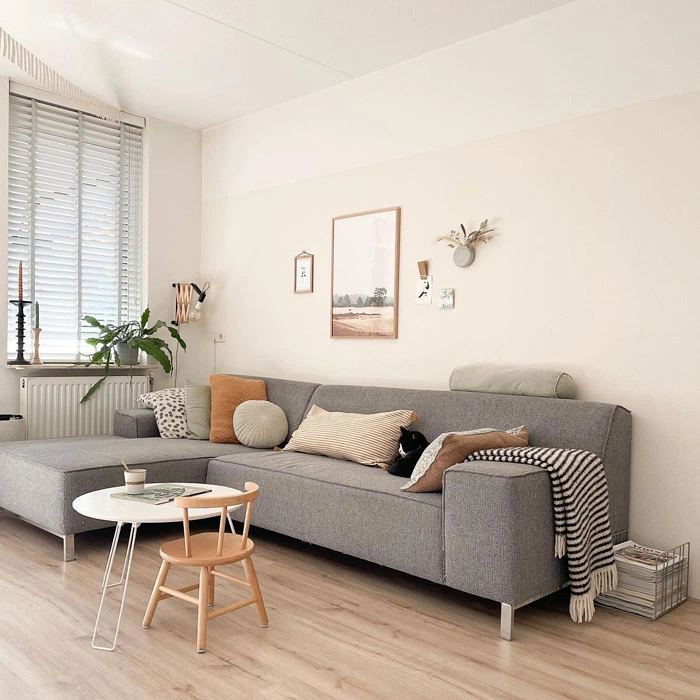 Светлый бежевый RAL 9001 в интерьере гостиной