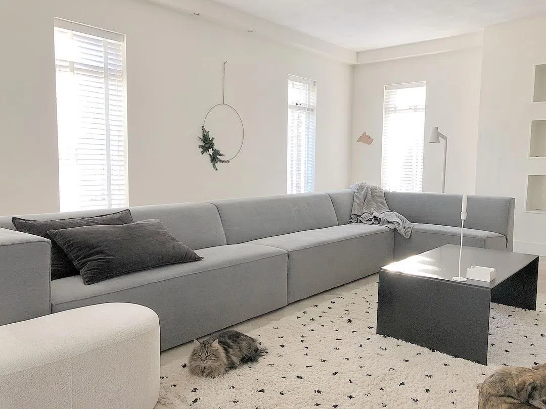 Современная гостиная с белыми стенами RAL 9016 Traffic White