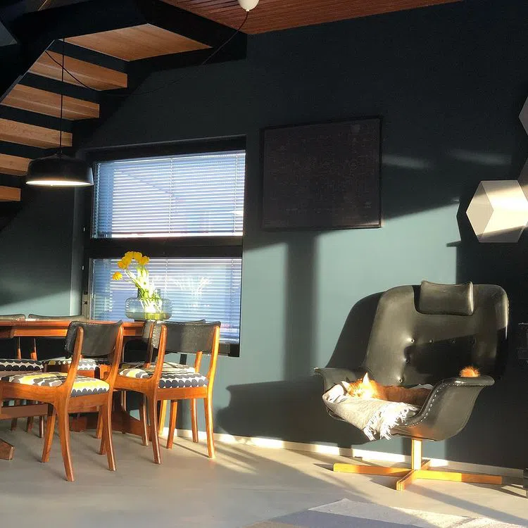 Интерьер с темно-синими стенами RAL5008