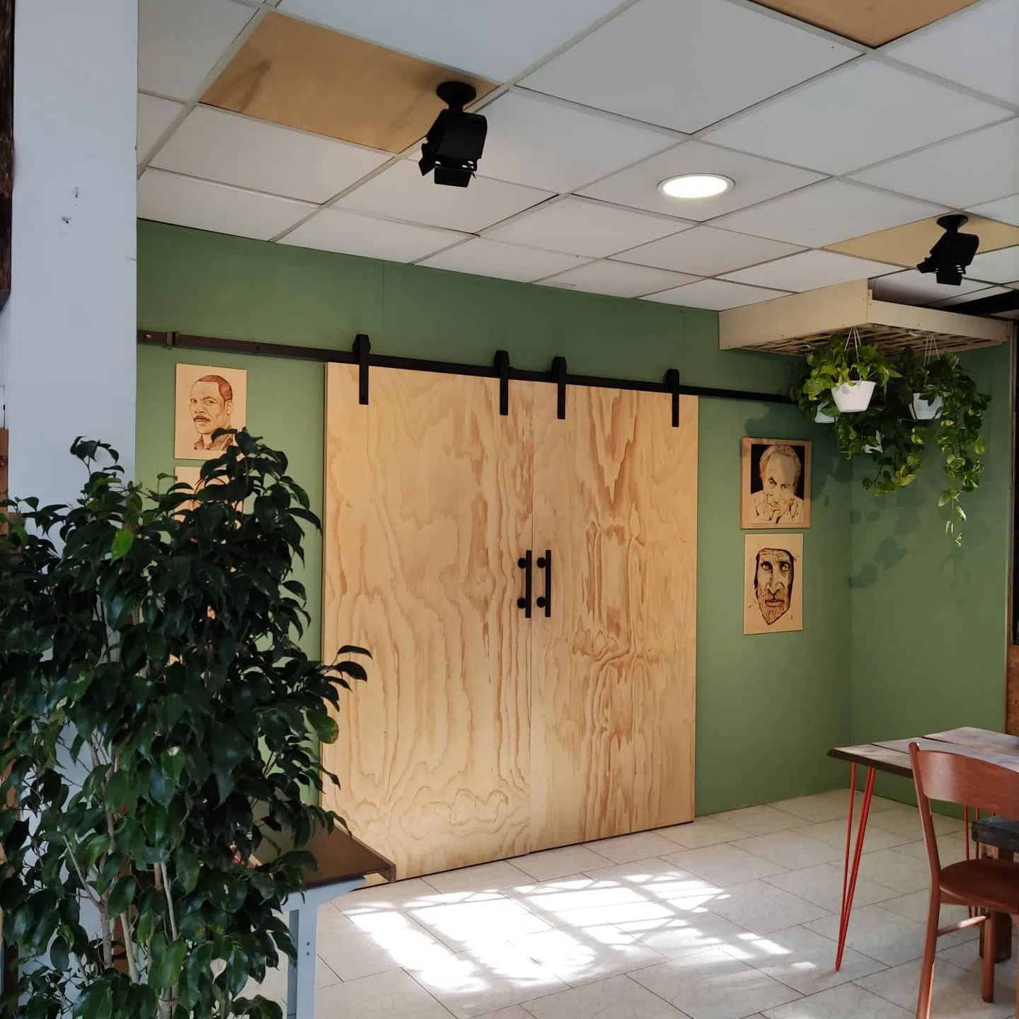 Зеленые двери RAL 6021 Pale Green с амбарной дверью