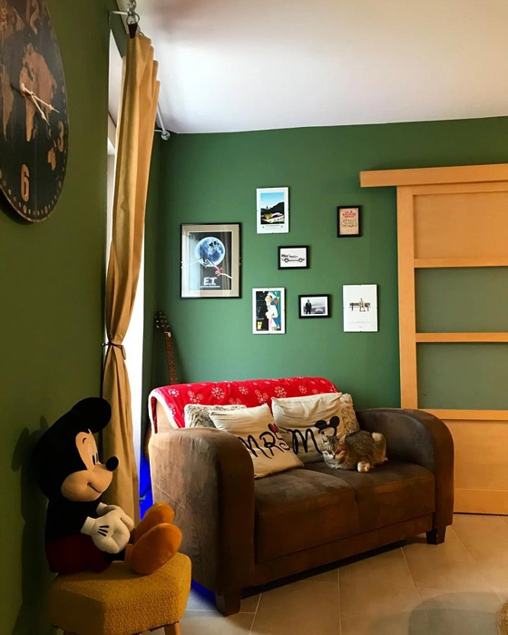 RAL 6011 в гостиной