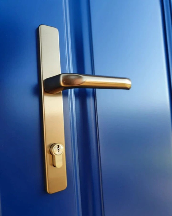 Тёмный синий RAL 5003 на входной двери