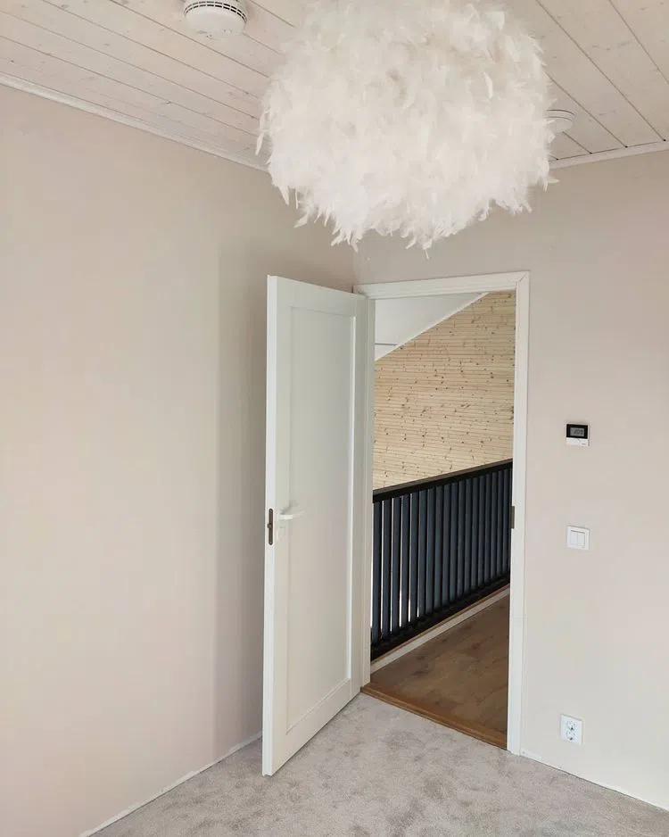 Фото цвета Шампиньон и люстра-облако