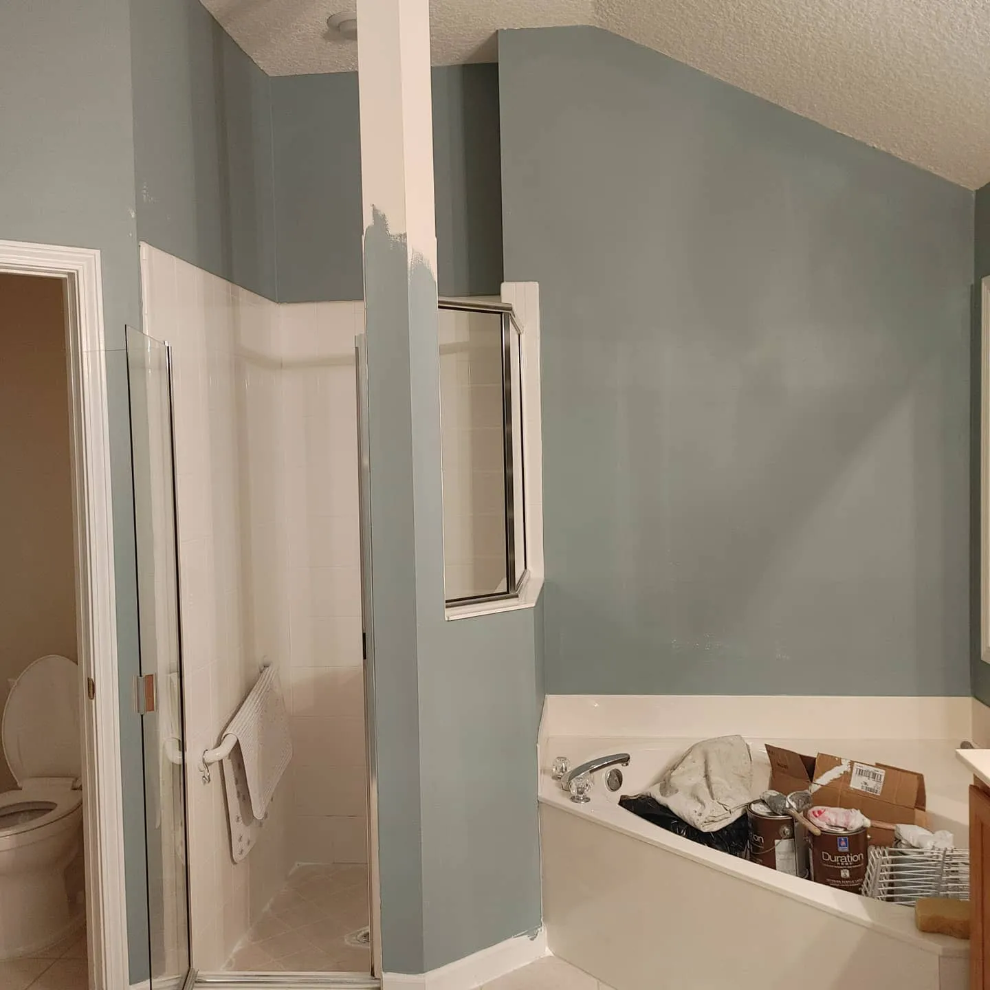 Sherwin Williams SW 9139 Debonair в интерьере фото