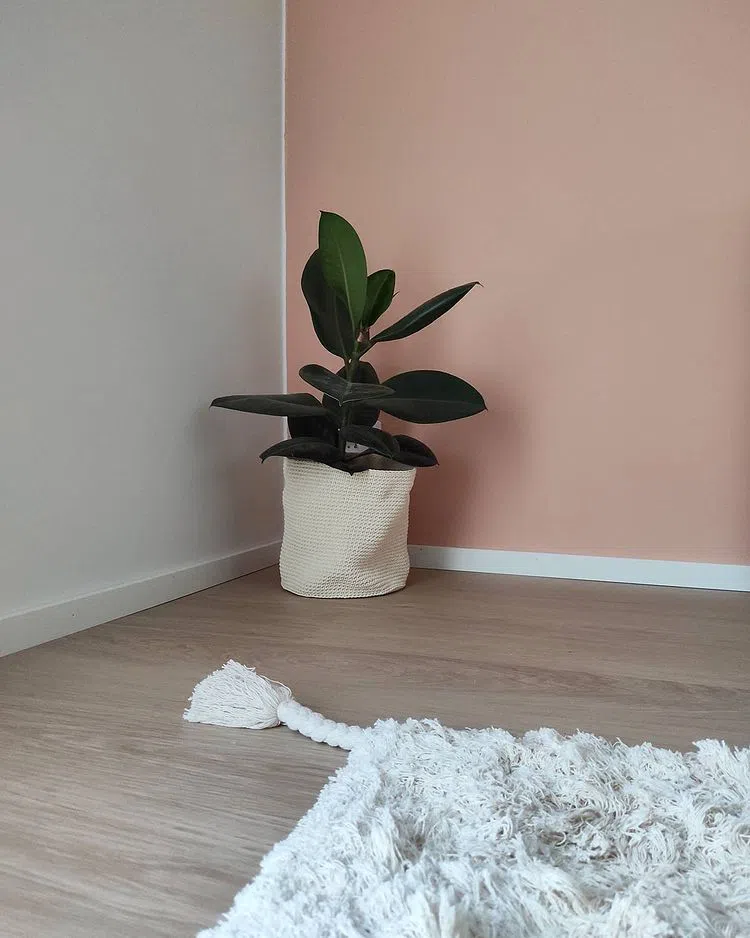 Персиковые стены с белым плинтусом и светлым деревянным полом