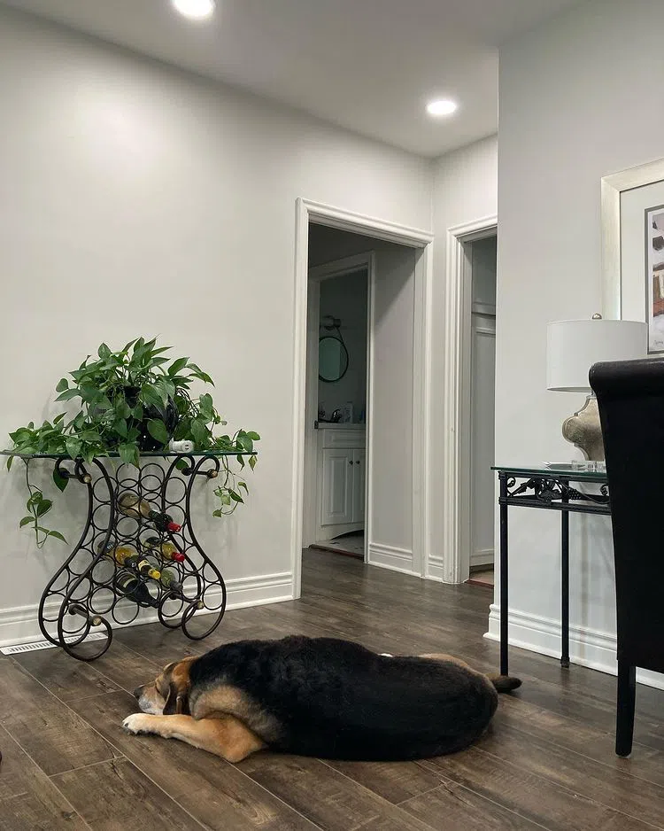 Фото OC-26 Silver Satin в интерьере